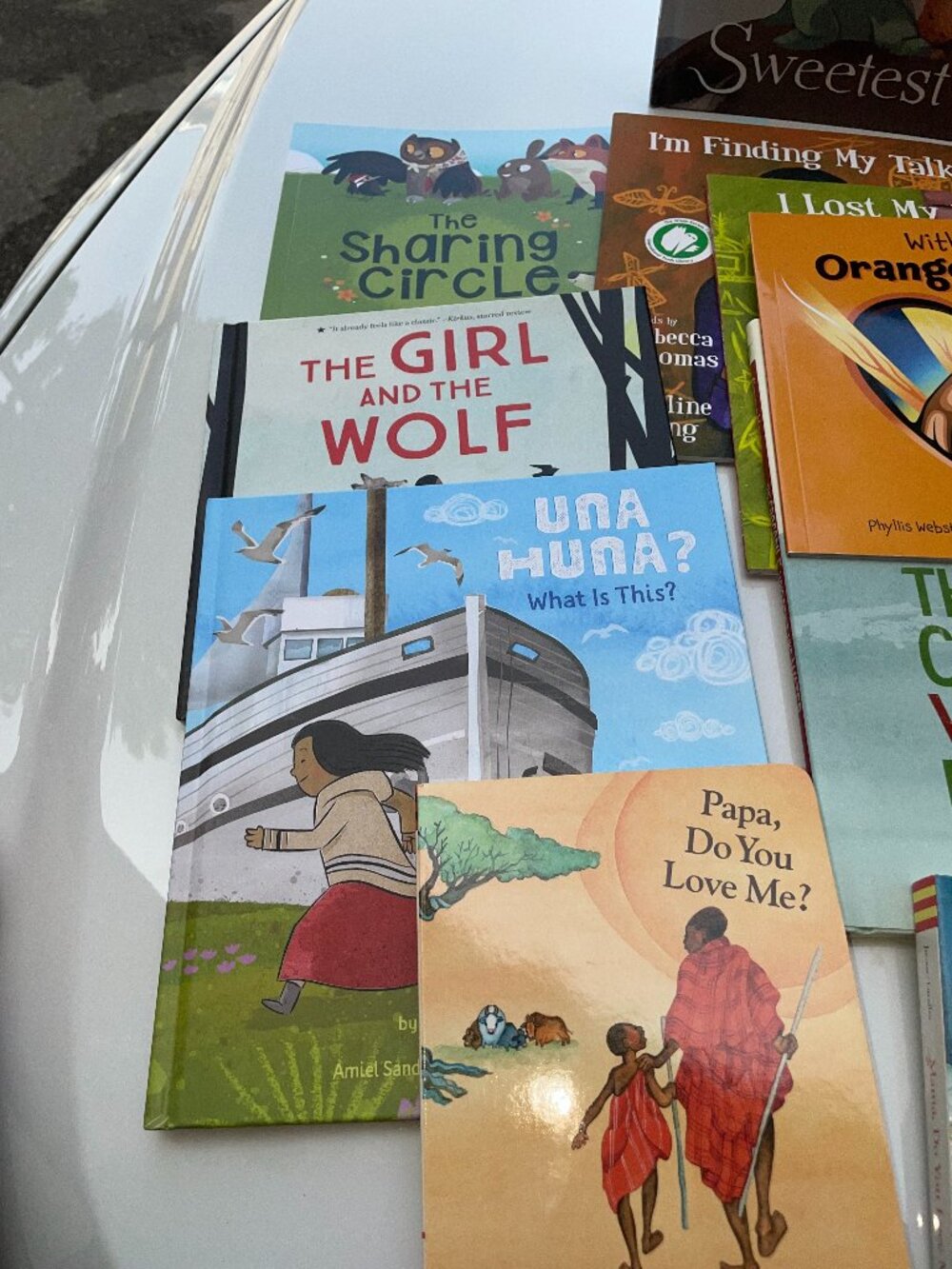 Indigenous Voices & Diverse Kids Picture Book Lot — 14 Picture Books EUC